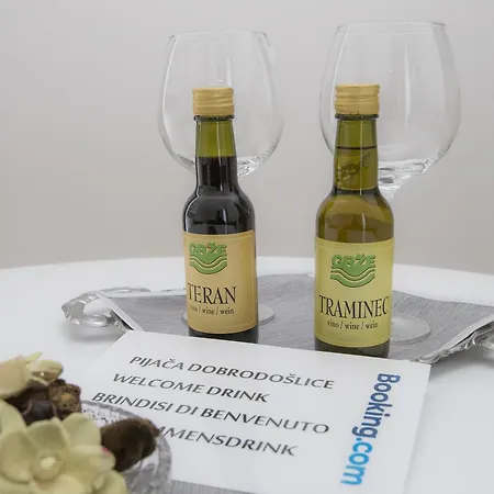 Apartman Apartma Grze Postojna